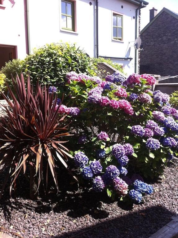 Burnham View Dingle Exterior foto